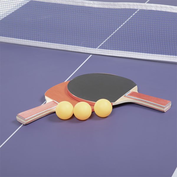 Mesa de Ping Pong A1 Mini2